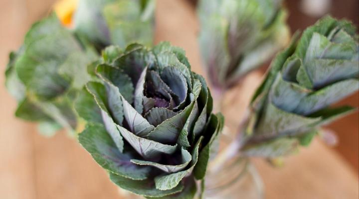 La Grenadine Petit Hotel