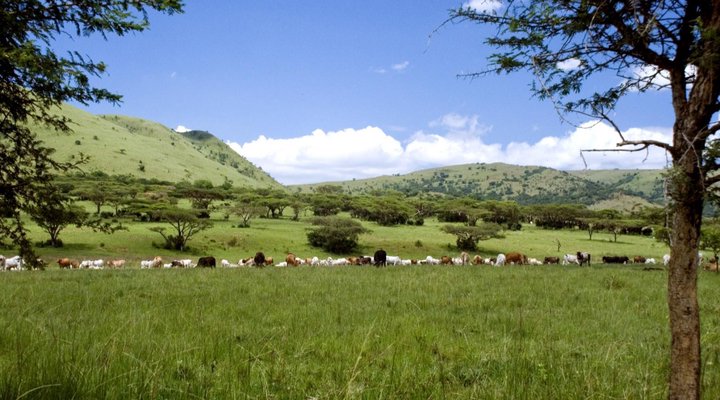 Koubad Farm Lodge