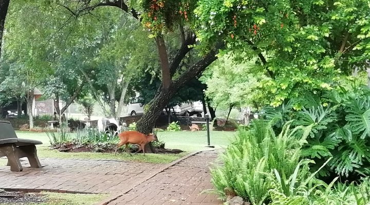 Koubad Farm Lodge
