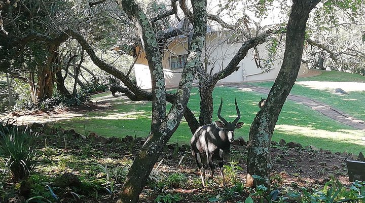 Koubad Farm Lodge