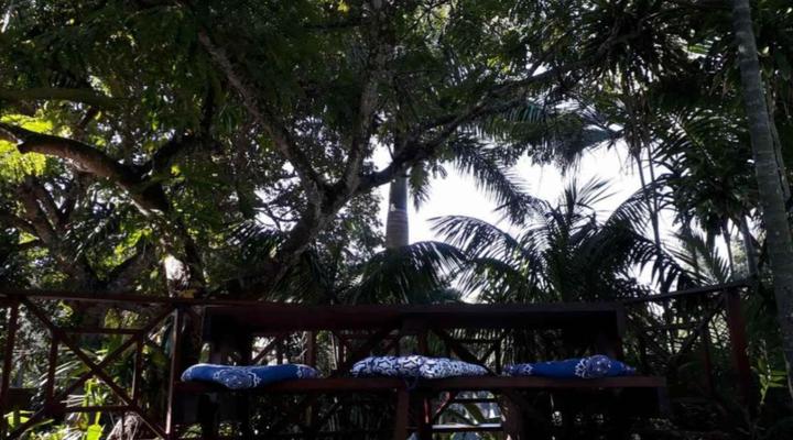 African-Dreamz Guest House