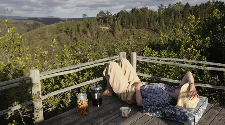 Forest Hills Cottages