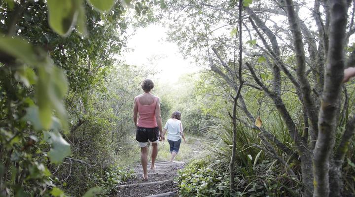 Forest Hills Cottages
