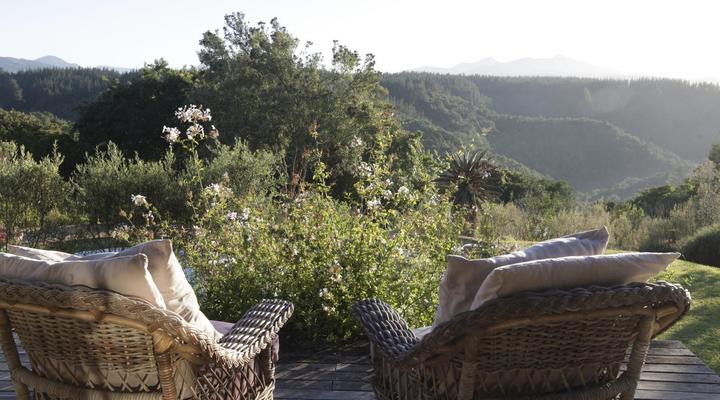 Forest Hills Cottages