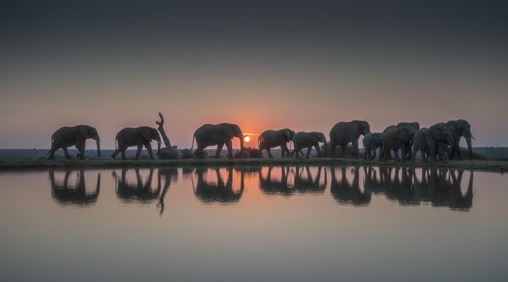 Jabulani Safari