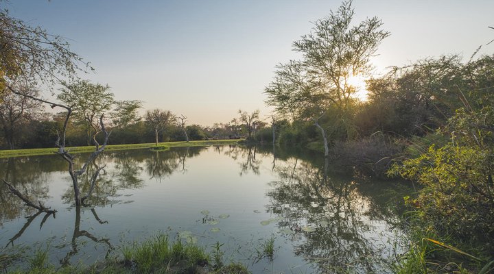 Jabulani Safari