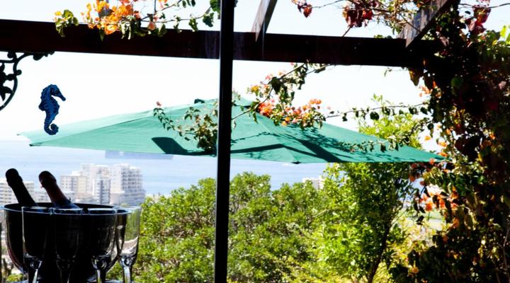 123 Ocean View Drive Apartment