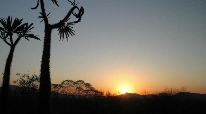 Marula Cottage Guest Lodge