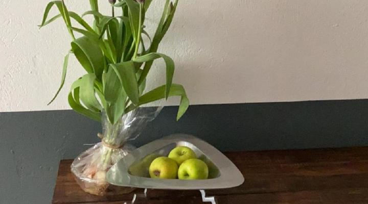 224 Carinus BB & Self Catering