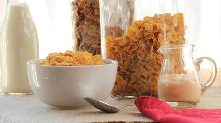 224 Carinus BB & Self Catering