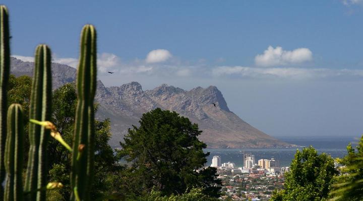 Somerset Sights Bed and Breakfast