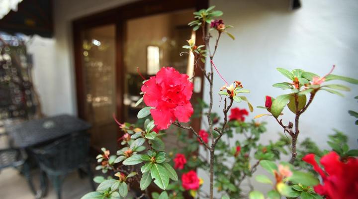 Chamberlain Guest House