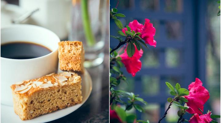 Chamberlain Guest House