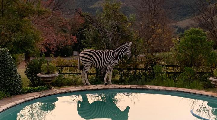 Cathkin Cottage Bed and Breakfast