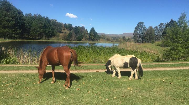 Meadow Lane Country Cottages