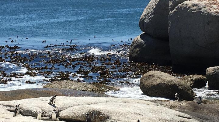 Dream A Little Self-catering Apartment