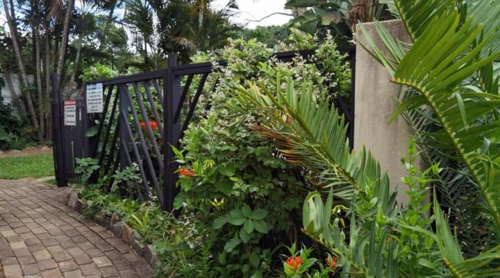 Sheba Rock Guesthouse