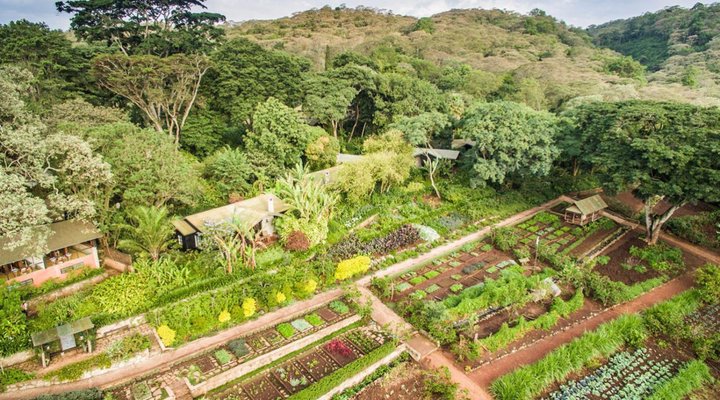 Gibb's Farm