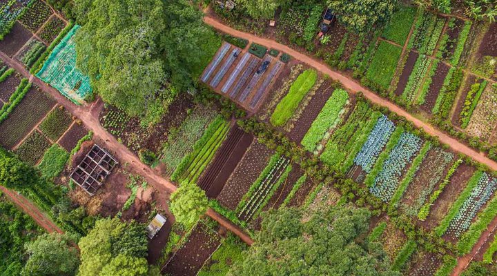 Gibb's Farm