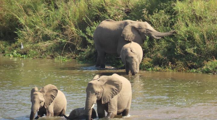 Hennie's Rest Guest House