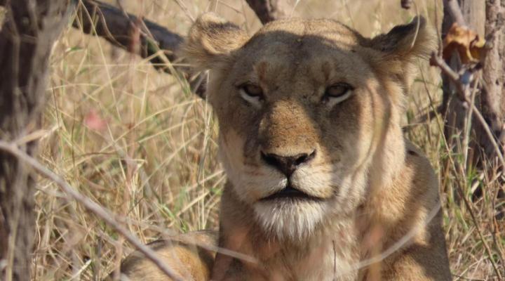 Hennie's Rest Guest House