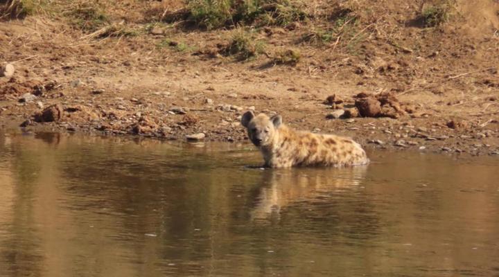 Hennie's Rest Guest House