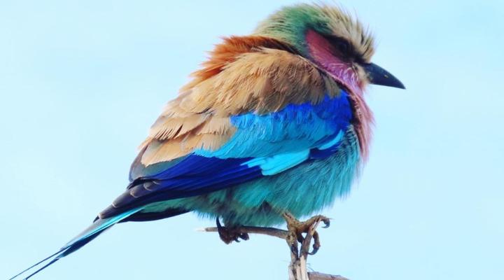 Hennie's Rest Guest House