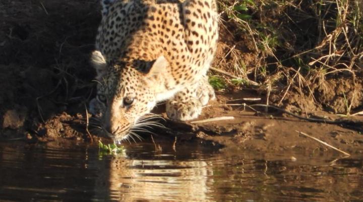 Hennie's Rest Guest House