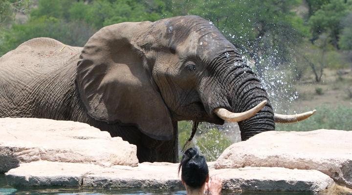 Makumu Private Game Lodge