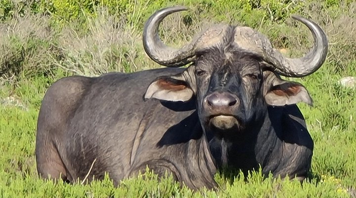 Indalu Game Reserve