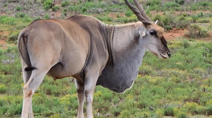 Indalu Game Reserve