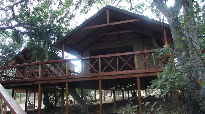 Lion Tree Top Lodge