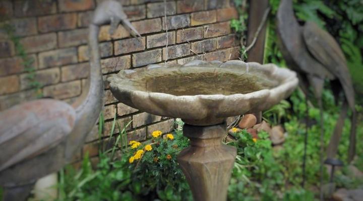 Manor House Bed and Breakfast