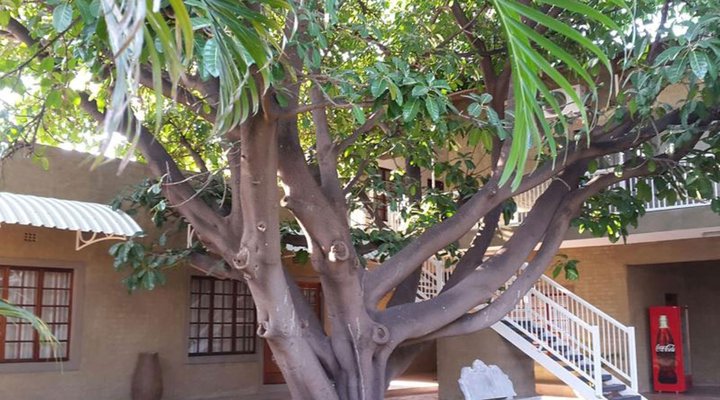 Lifestyle Guest Units