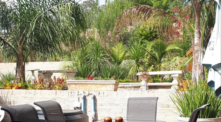 Flametree Guesthouse 