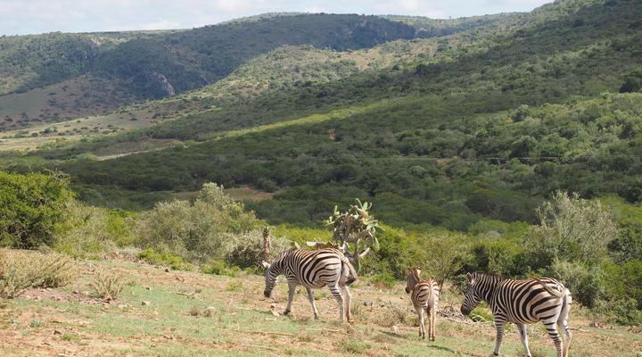 Pure Nature Familodge