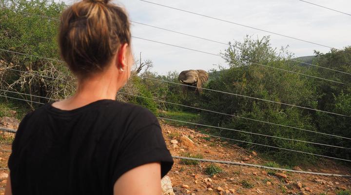 Pure Nature Familodge