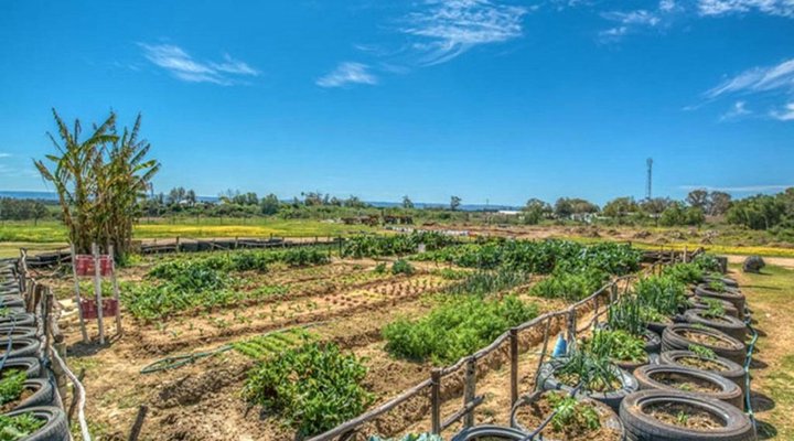 The Kraal Addo