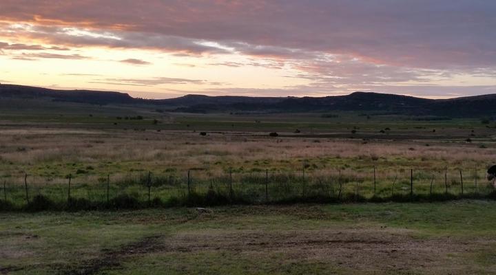 Springwater Cottages