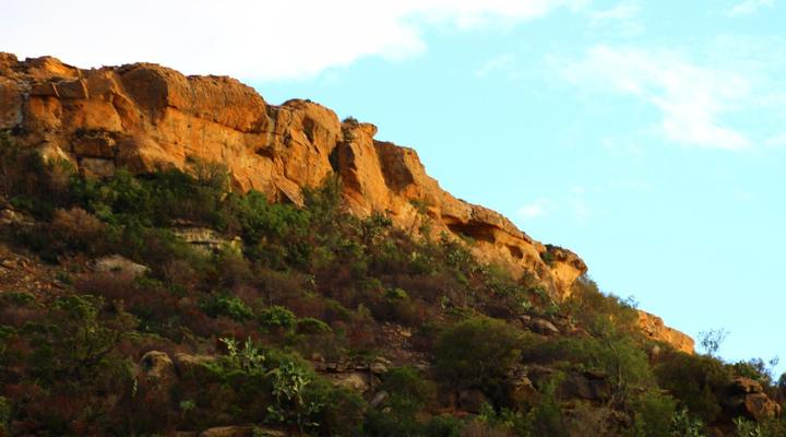 Springwater Cottages