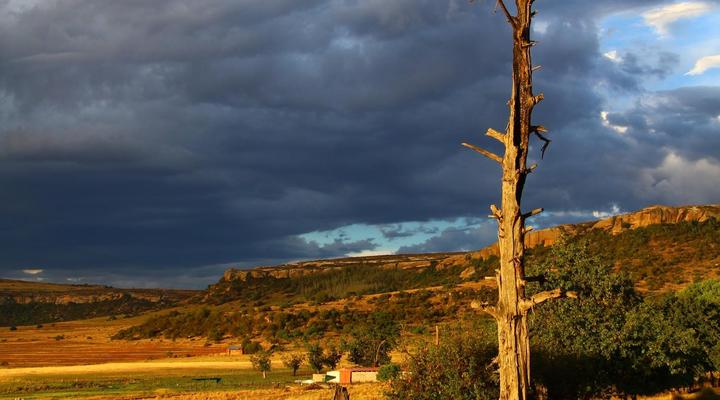 Springwater Cottages