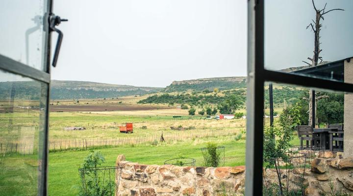 Springwater Cottages