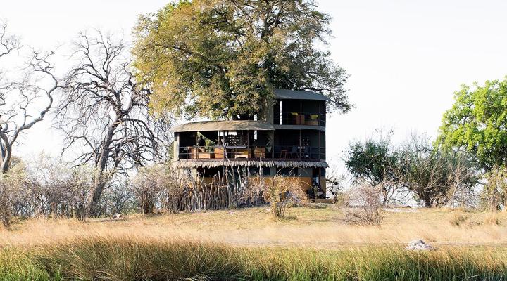 Jackalberry Tented Camp
