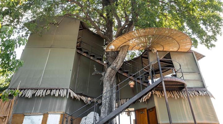 Jackalberry Tented Camp