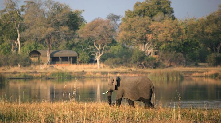 Jackalberry Tented Camp
