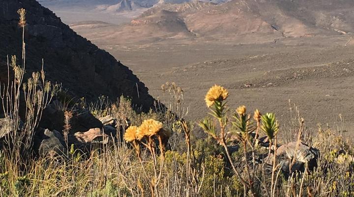 Gecko Rock Private Nature Reserve