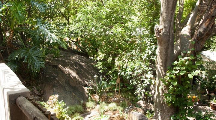 Little Forest Guesthouse, Parkhurst