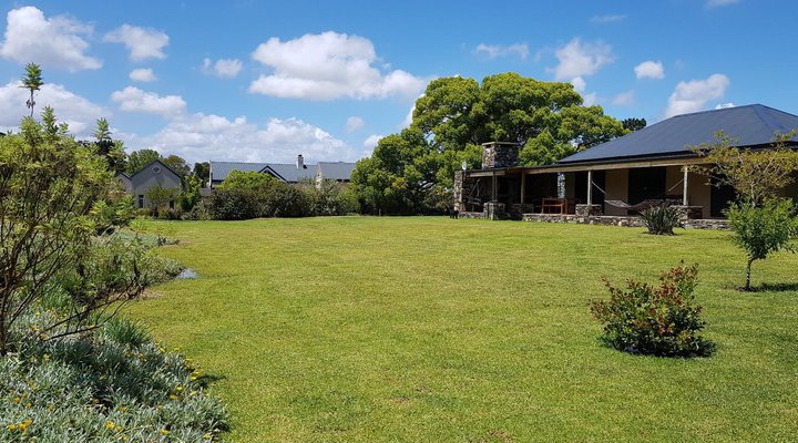 Camphor Tree Cottage