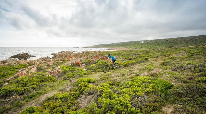 Gourikwa Nature Reserve