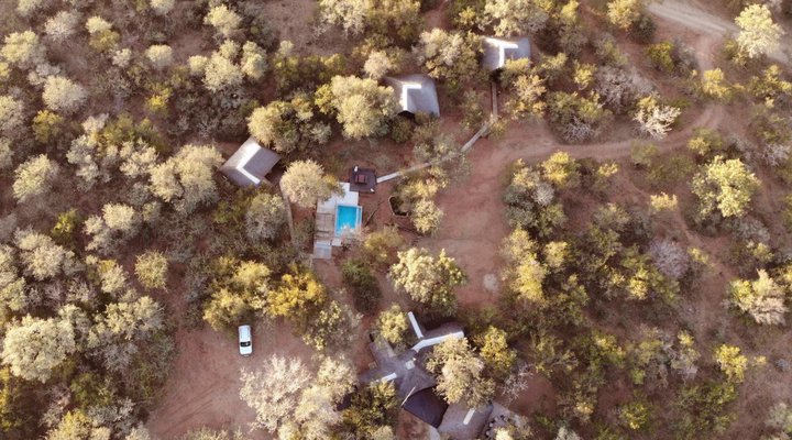 Tusk Bush Lodge & Photographic Safaris